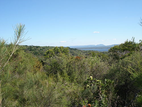 Castaways Beach, Queensland